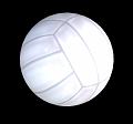 ballon_volley1_ROUDNEFF